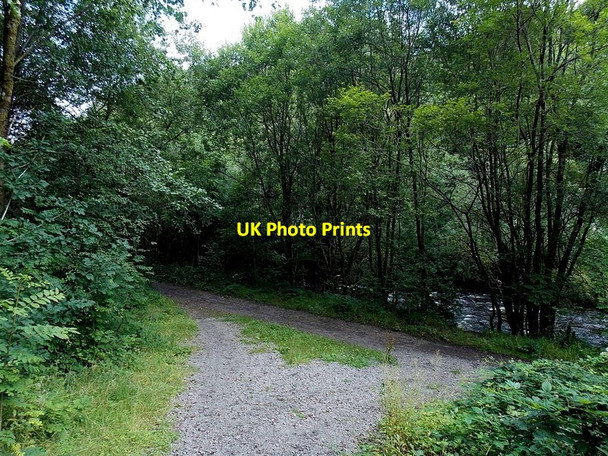 Photo 6"x4" Riverside track junction, Tylorstown Ferndale\/SS9996 c2013