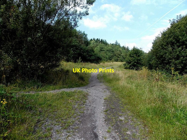 Photo 6"x4" Riverside track junction near Ferndale Ferndale\/SS9996 c2013