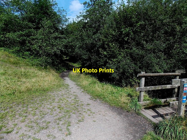Photo 6"x4" Riverside track towards Ferndale Ferndale\/SS9996 c2013