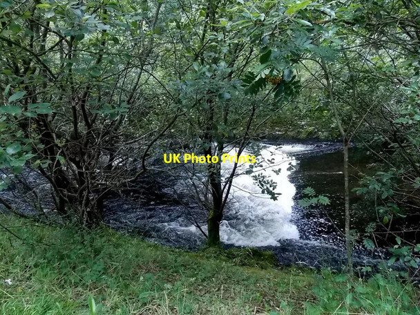 Photo 6"x4" White water in the Rhondda Fach near Ferndale Ferndale\/SS9996 c2013