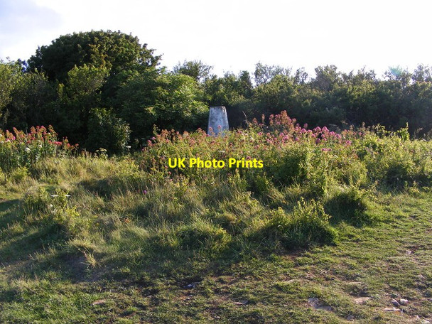 Photo 6"x4" Berry Head Trig Brixham c2011