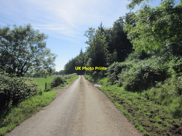 Photo 6"x4" Bruchag Road towards Kerrylamont Bay Meikle Kilchattan Butts c2013