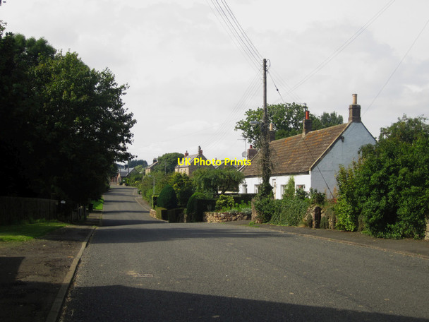 Photo 6"x4" Road through Bowsden Bowsden c2013