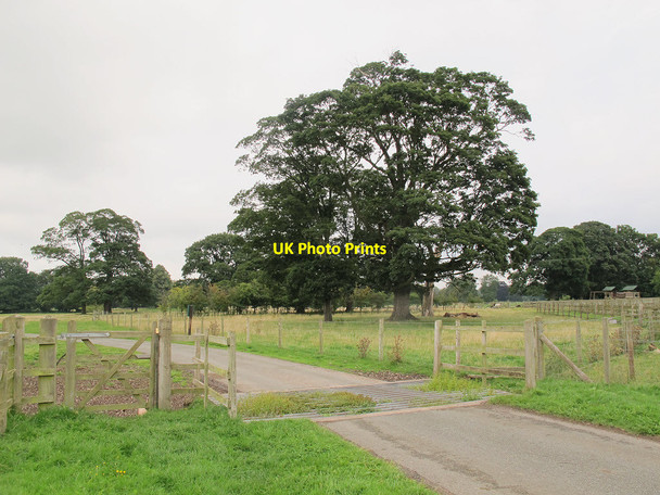 Photo 6"x4" Cattle grid on the Shugborough estate Tixall c2013