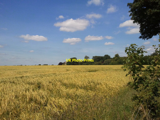 Photo 6"x4" Manby Airfield and Hidden Hangars Manby c2011