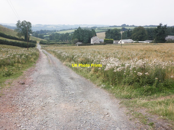Photo 6"x4" Track to Week Farm Brompton Ralph c2013