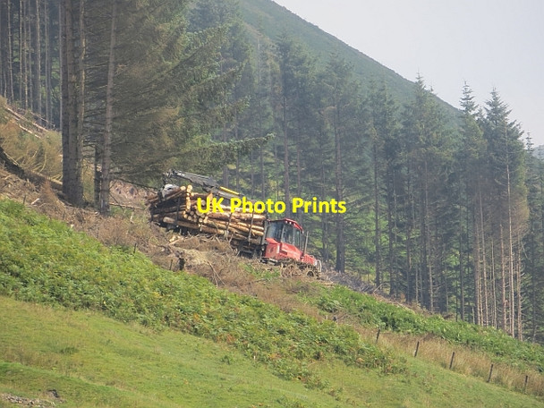 Photo 6"x4" Timber transporter Paper Hill\/NT2117 c2013