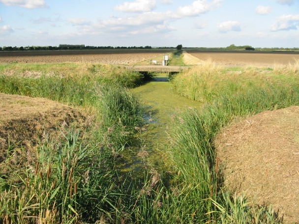 Photo 6"x4" Farmland and drainage ditches Hoo\/TR2964 c2008
