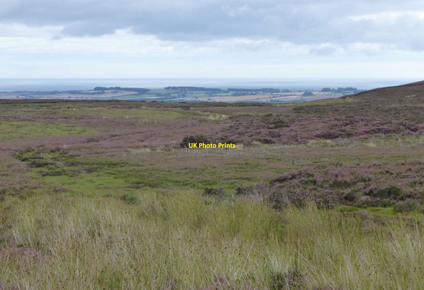 Photo 6"x4" Alnwick Moor Rugley c2013