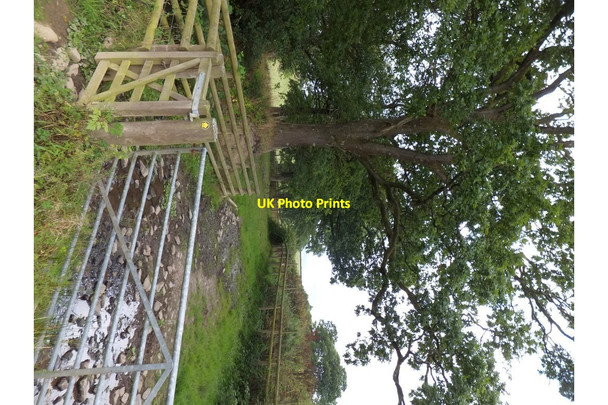 Photo 6"x4" Footpath and stream near Winkleigh Winkleigh c2013