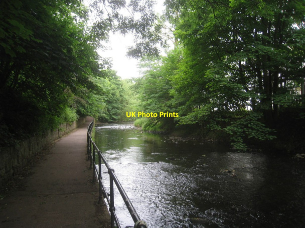 Photo 6"x4" The Water of Leith beneath the Caledonian Railway Viaduct Craigleith\/NT2374 c2013
