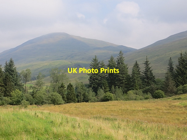 Photo 6"x4" Rough grazing, Moffatdale Capplegill c2013