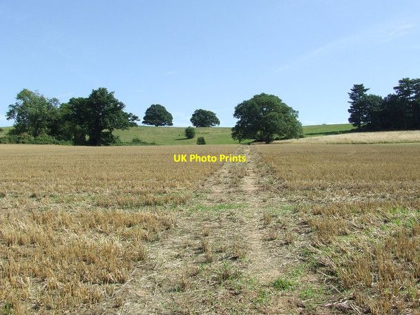 Photo 6"x4" Stour Valley Path Wormingford c2013