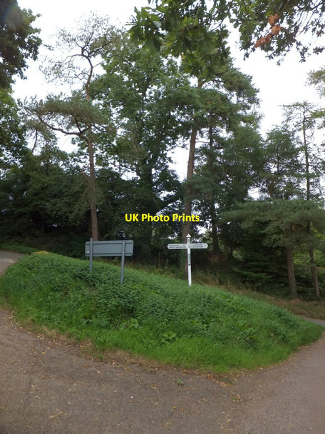 Photo 6"x4" Rowtry Cross, Honeychurch Honeychurch c2013