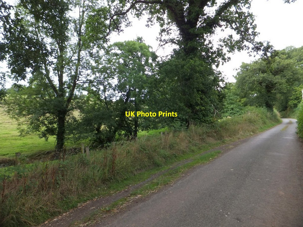 Photo 6"x4" Passing place in minor road south of Honeychurch Honeychurch c2013