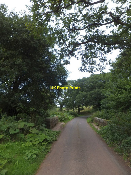 Photo 6"x4" Frankland Ford Bridge Honeychurch c2013