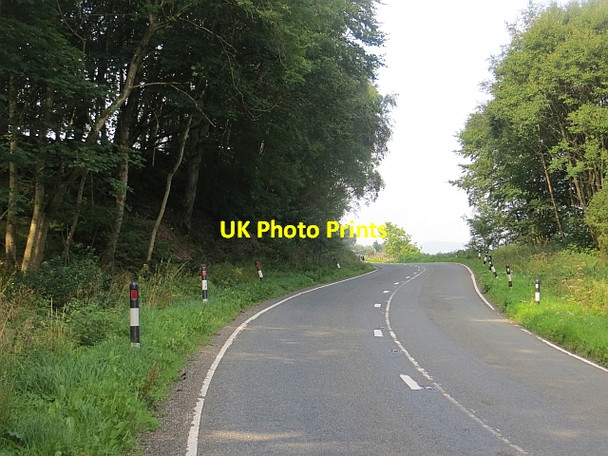 Photo 6"x4" A701, Geddes-shaw Plantation Moffat c2013