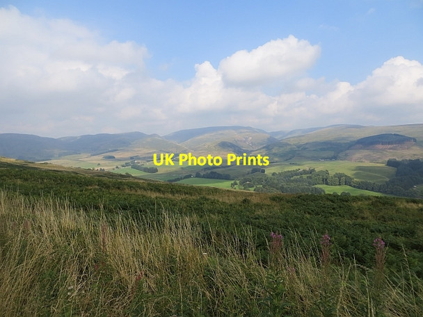 Photo 6"x4" Bracken covered hillside, Annandale Gilberts Rig c2013