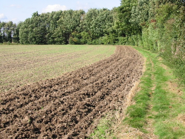 Photo 6"x4" Footpath along field edge, from Monkton Hoo\/TR2964 c2008