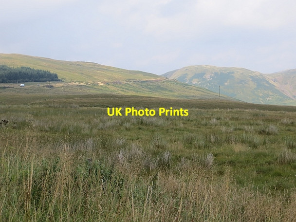 Photo 6"x4" Rough grazing above Ericstane Braefoot Wood c2013