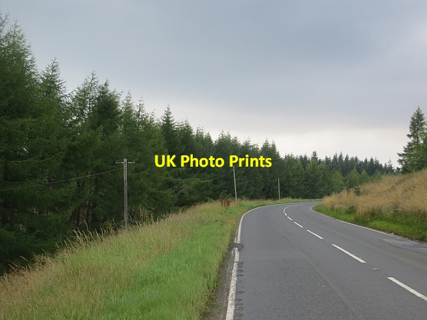Photo 6"x4" Approaching the summit Flecket Hill c2013