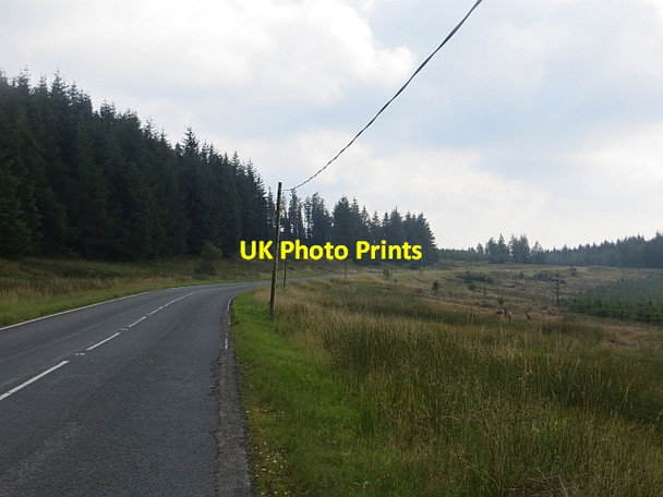 Photo 6"x4" Approaching the summit Flecket Hill c2013