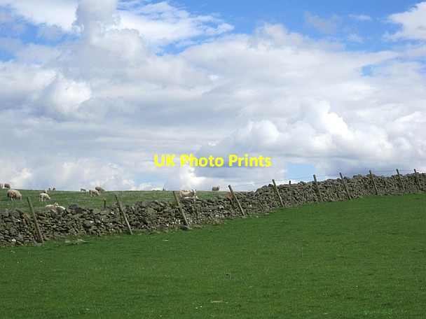 Photo 6"x4" Dyke, Mosshouses Easter Housebyres c2013