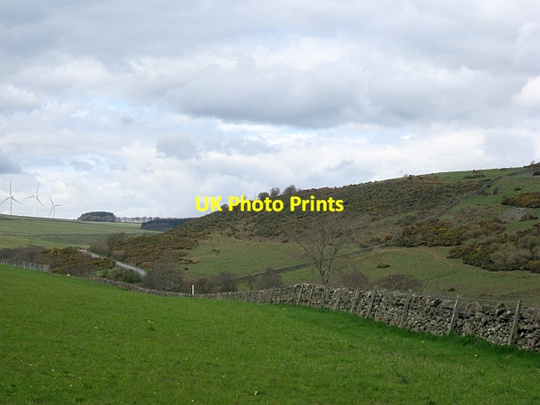 Photo 6"x4" Field, Langshaw Colmslie c2013