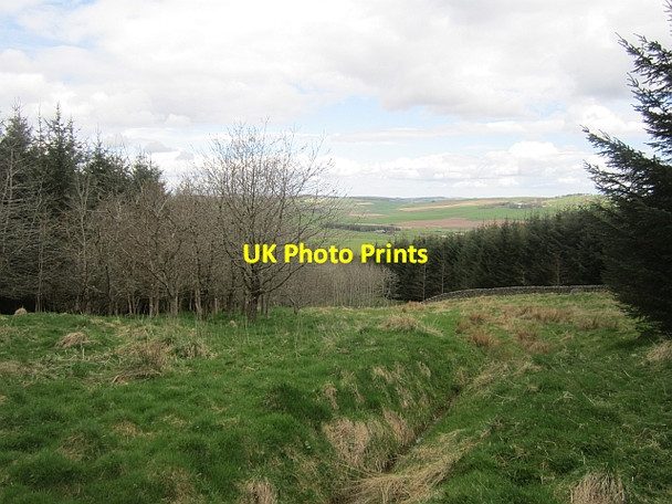 Photo 6"x4" Ladhope Moor Galashiels c2013