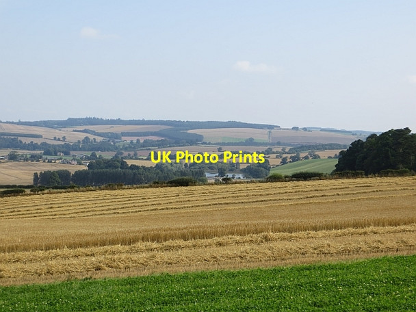 Photo 6"x4" Barley above Crailing Crailing c2013