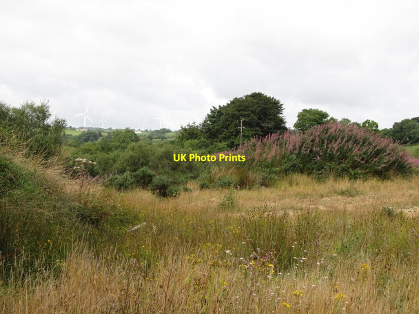 Photo 6"x4" Heathland on the hilly ground east of the Cootehill\/Bailieborough road Madabawn c2013
