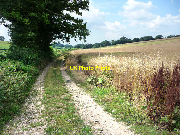 Photo 6"x4" Harrowgate Lane Rushmore c2013