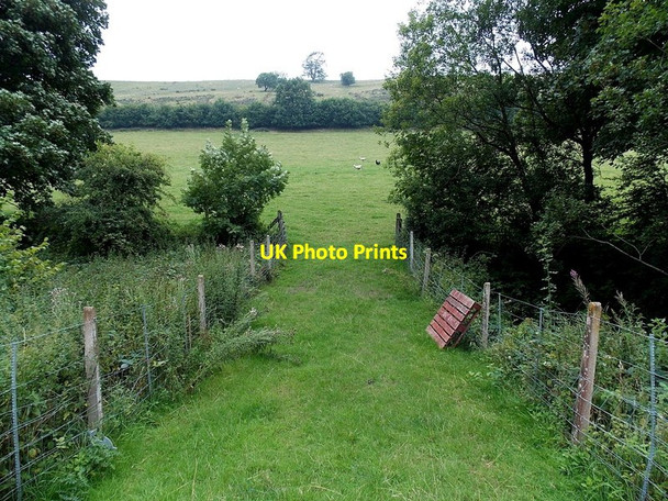 Photo 6"x4" Field side of a level crossing near Cwmheyope Heyope c2013