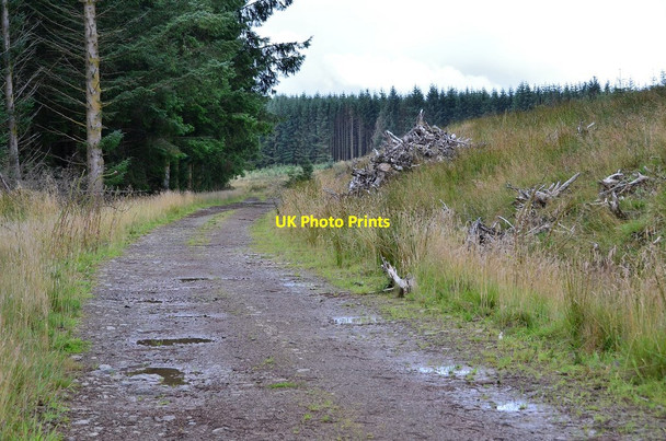 Photo 6"x4" Silver Jubilee Road above Talla Reservoir Menzion c2013