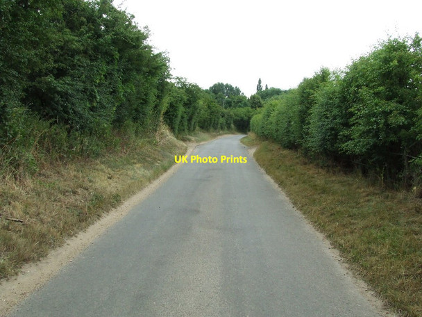 Photo 6"x4" Wick Road Boxted\/TL9933 c2013