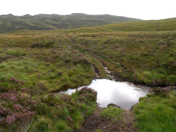 Photo 6"x4" Ford, Allt Liathdoire Druim Donn\/NC1708 c2008