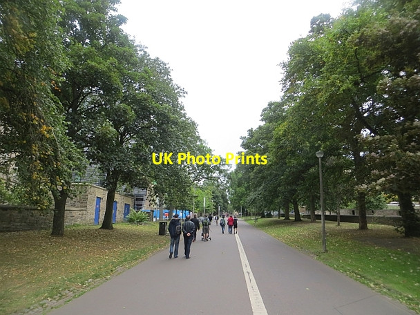 Photo 6"x4" Middle Meadow Walk Edinburgh c2013