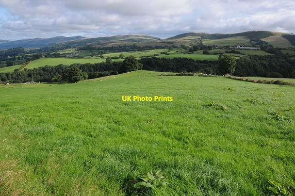 Photo 6"x4" Farmland above Nant y Garth Pass Pentre-celyn\/SJ1453 c2013
