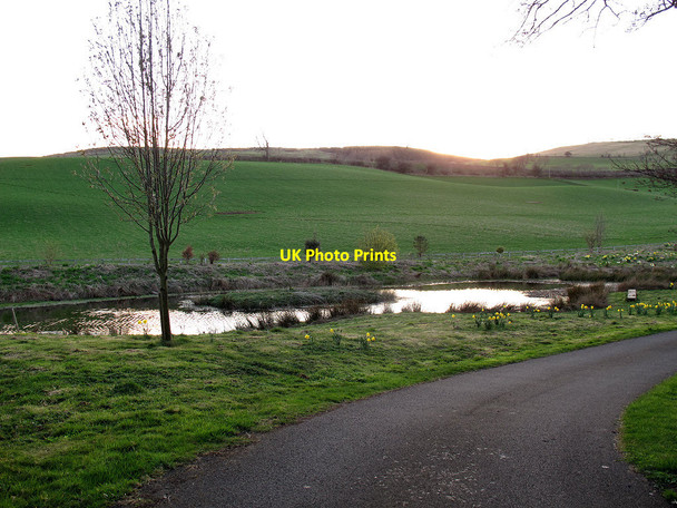 Photo 6"x4" Pond at Earle Mill Haugh Head c2013