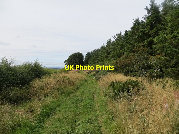 Photo 6"x4" Dere Street Crailinghall c2013