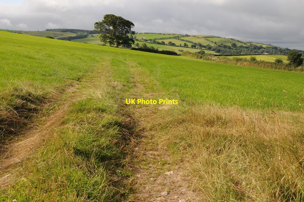 Photo 6"x4" Farmland above the Vale of Clwyd Pentre-celyn\/SJ1453 c2013