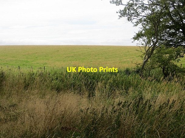 Photo 6"x4" Grass field off Dere Street Crailinghall c2013