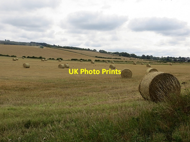 Photo 6"x4" Round bales Ancrum c2013