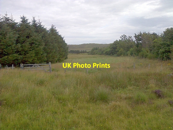 Photo 6"x4" Clearing between Plantations Mellon Udrigle c2013