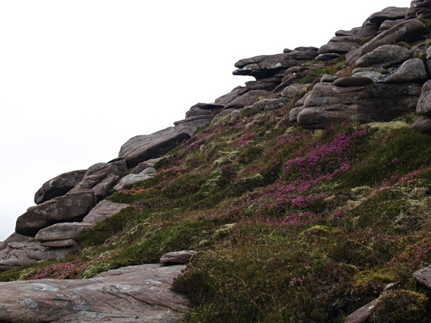 Photo 6"x4" Rocks and heather, S ridge of Cul Beag C\u00f9l Beag\/NC1408 c2008