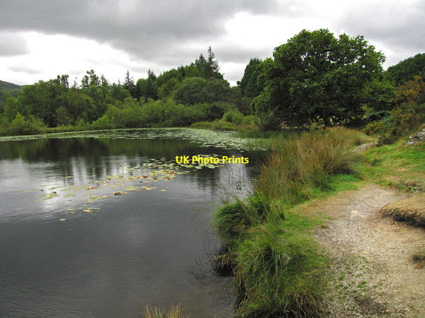 Photo 6"x4" Llyn Tecwyn Isaf Bryn Bwbach c2013