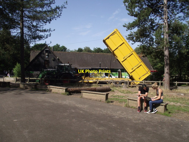 Photo 6"x4" Moors Valley prepares for war Woolsbridge c2013