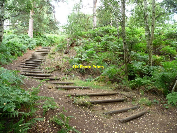 Photo 6"x4" Stepped path near the old quarry Sandy\/TL1649 c2013