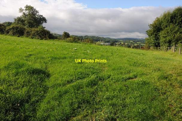 Photo 6"x4" Field at Pentre-Celyn Pentre-celyn\/SJ1453 c2013