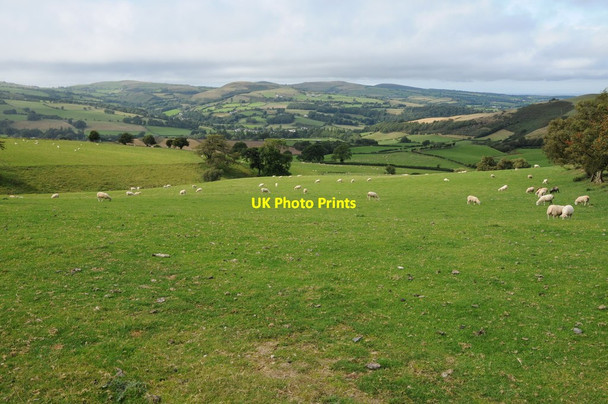 Photo 6"x4" Farmland above Nantglyn Saron\/SJ0260 c2013